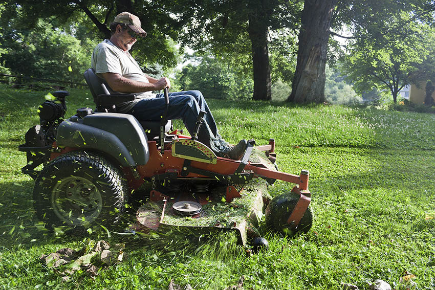 Lawn Cutter Image